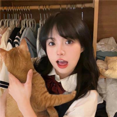 大白鲨2
